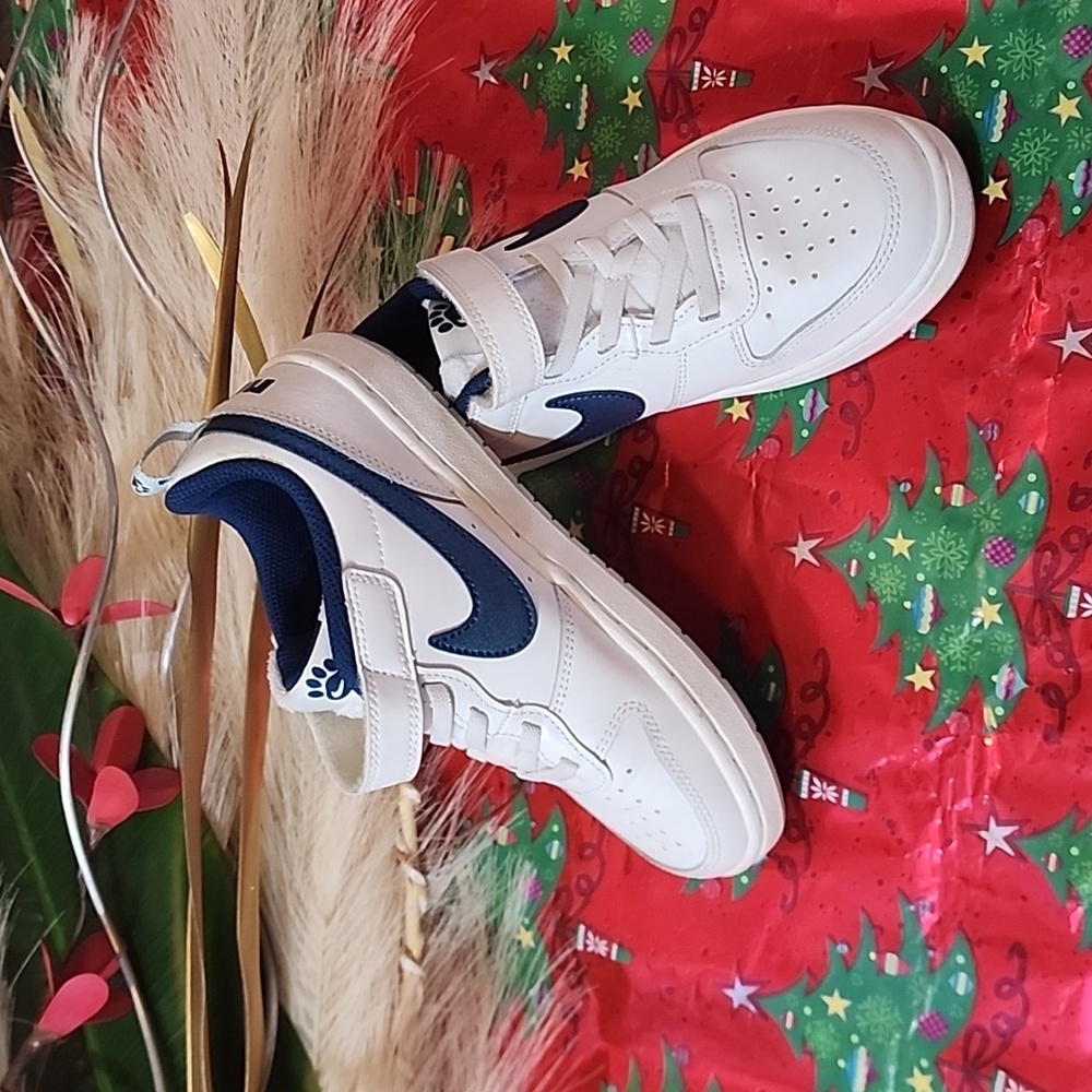 Nike Shoe